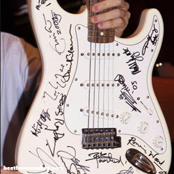 Reach out to Asia Fender Stratocaster